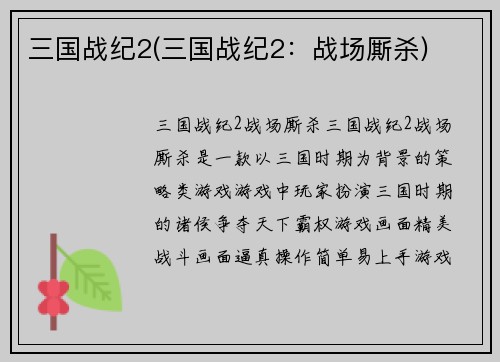 三国战纪2(三国战纪2：战场厮杀)