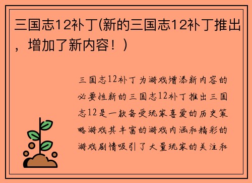 三国志12补丁(新的三国志12补丁推出，增加了新内容！)