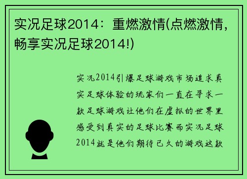 实况足球2014：重燃激情(点燃激情，畅享实况足球2014!)